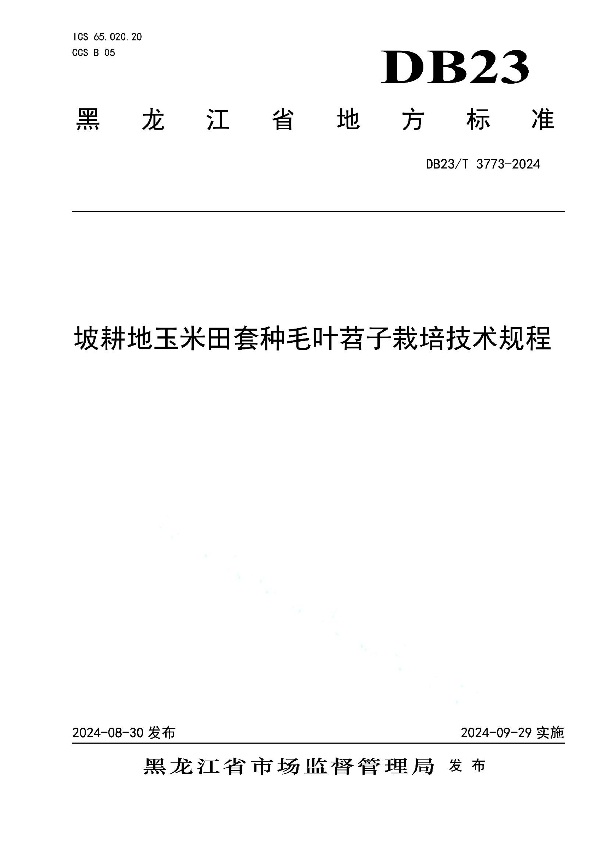资源详情图